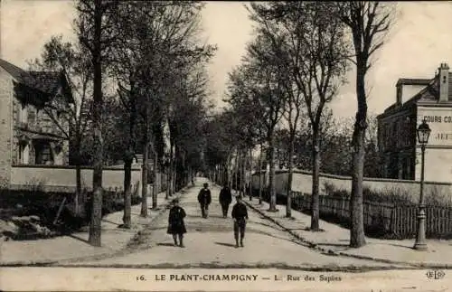 Ak Le Plant Champigny sur Marne Val de Marne, Rue des Sapins