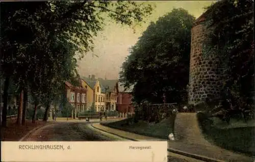 Ak Recklinghausen im Ruhrgebiet, Herzogswall