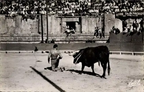 Ak Corrida de Toros, Une fantaisie spectaculaire