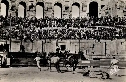 Ak Corrida de Toros, L'Arrastre enlevement du Toro mort