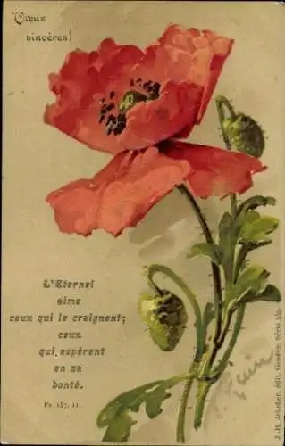 Künstler Litho Klein, Catharina, Mohnblume