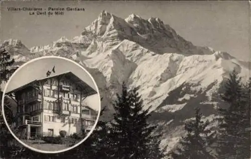 Ak Villars sur Ollon Kanton Waadt, Pension Gentiana, Dent du Midi