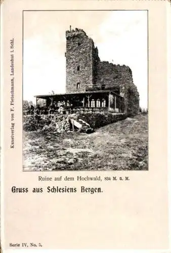 Ak Hochwald bei Boguszów Gottesberg Schlesien, Ruine