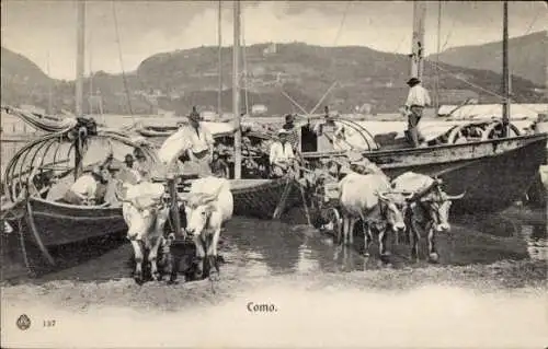 Ak Como Lombardia, Boote, Ochsenkarren