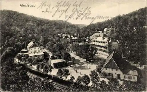 Ak Alexisbad Harzgerode, Blick auf das Kurhaus und Umgebung