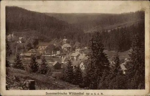 Ak Wildenthal Eibenstock im Erzgebirge, Gesamtansicht