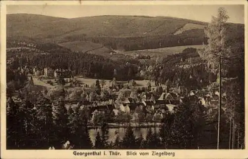 Ak Georgenthal in Thüringen, Gesamtansicht, Blick vom Ziegelberg