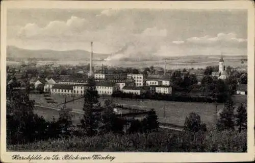 Ak Hirschfelde Zittau in Sachsen, Blick vom Weinberg