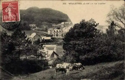 Ak Veulettes sur Mer Seine Maritime, Catelier, weidende Kühe