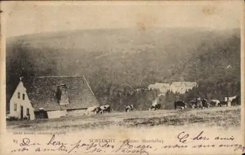 Ak Col de la Schlucht Vosges, Ferme Monthebey