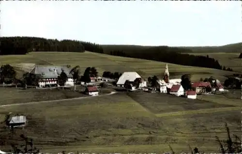 Ak Waldau Titisee Neustadt im Breisgau Schwarzwald, Gesamtansicht, Gasthaus zur Traube