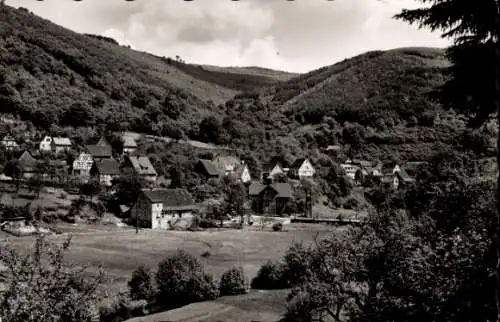 Ak Langenthal Hirschhorn am Neckar Hessen, Gesamtansicht