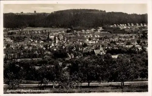 Ak Nagold im Schwarzwald, Panorama