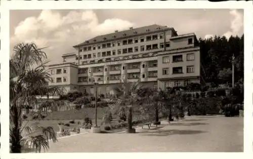 Ak Lazne Luhačovice Bad Luhatschowitz Region Zlin, Hotel Palace