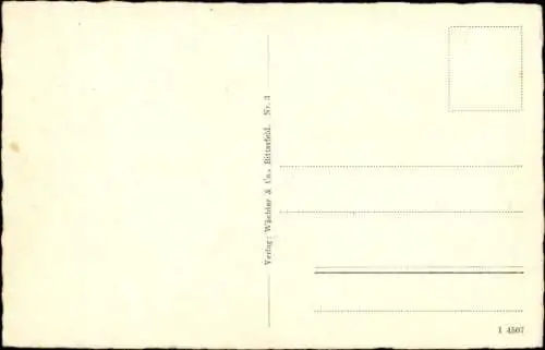 Ak Bitterfeld in Sachsen Anhalt, Marktplatz, Burgstraße, Geschäfte