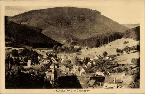 Ak Floh Seligenthal in Thüringen, Stadtpanorama, Berg, Wald