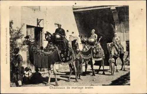 Ak Ägypten, Arabische Hochzeit, Kamele