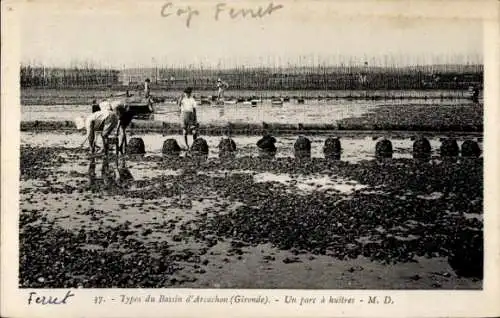 Ak Arcachon Gironde, Un parc a huitres