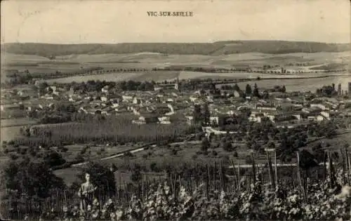 Ak Vic sur Seille Qui Lorraine Moselle, Panorama