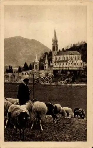 Ak Lourdes Hautes Pyrénées, Basilika, Schafe