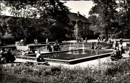 Ak Bad Driburg in Westfalen, Steingarten, Kurpark, Springbrunnen
