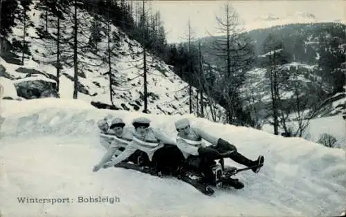 Ak Wintersport, Bobsleighfahrt