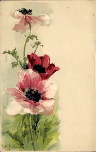 Künstler Ak Klein, Catharina, Anemonen