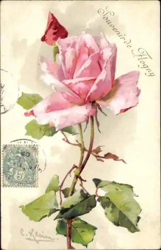 Künstler Ak Klein, Catharina, rosa Rose