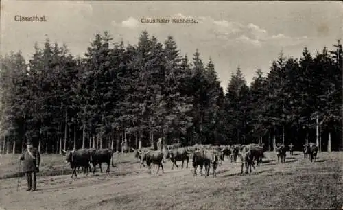 Ak Clausthal Zellerfeld im Oberharz, Clausthaler Kuhherde