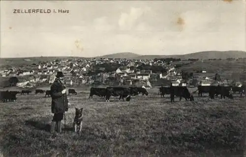 Ak Clausthal Zellerfeld im Oberharz, Gesamtansicht, Kühe, Hirte, Hund