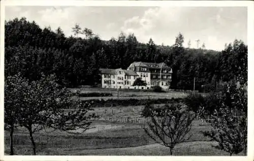 Ak Hohegrete Pracht im Westerwald, Erholungsheim, Wald