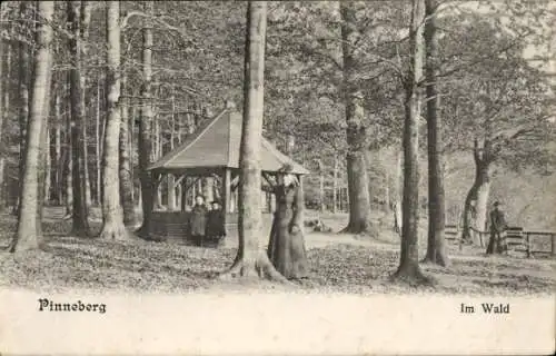 Ak Pinneberg in Holstein, Wald, Schutzhütte