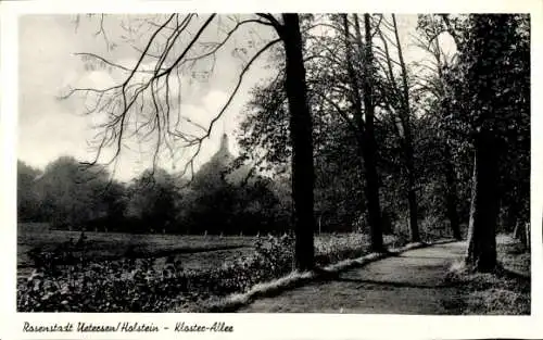 Ak Uetersen in Holstein, Kloster-Allee