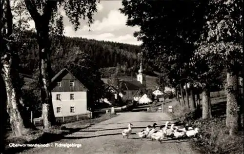 Ak Oberwarmensteinach Warmensteinach in Oberfranken, Teilansicht, Kirche, Enten