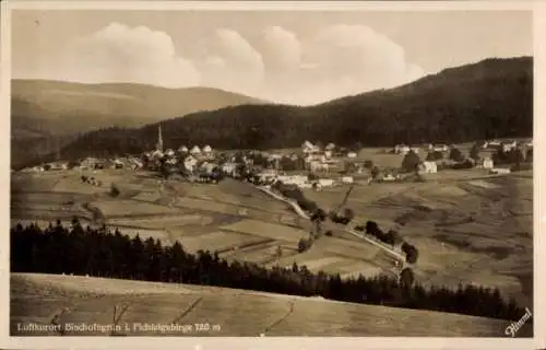 Ak Bischofsgrün im Fichtelgebirge, Panorama