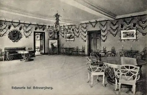 Ak Schwarzburg in Thüringen, Fasanerie, Geweihe