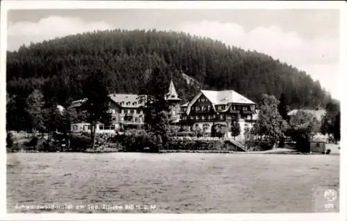 Ak Titisee Neustadt im Breisgau Hochschwarzwald, Schwarzwald-Hotel, Blick vom See