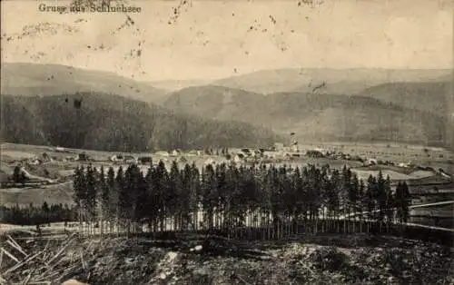 Ak Schluchsee im Schwarzwald, Panorama