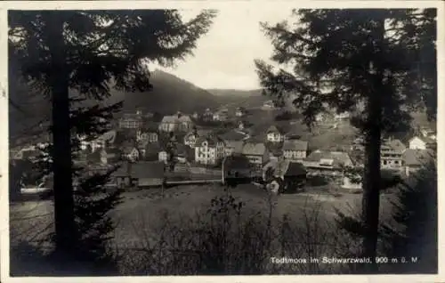 Ak Todtmoos im Schwarzwald, Gesamtansicht