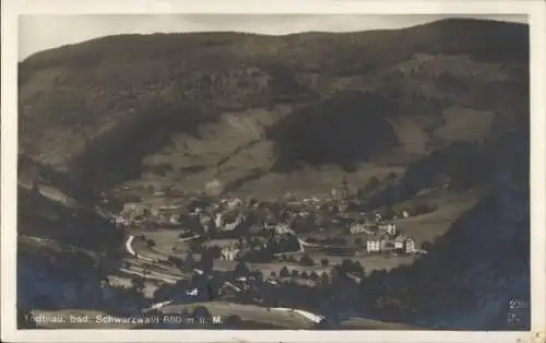 Ak Todtnau im Schwarzwald, Panorama