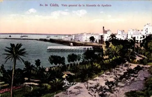 Ak Cádiz Andalusien, Gesamtansicht der Alameda de Apodaca