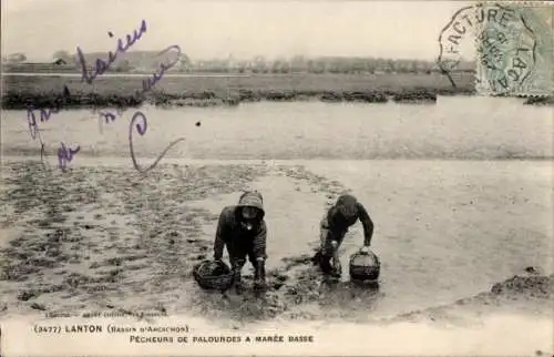 Ak Lanton Gironde, Pecheurs de Palourdes a maree basse