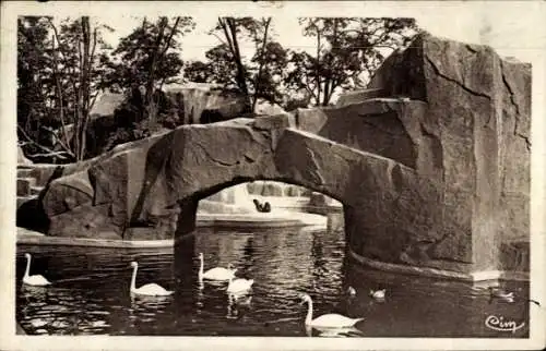 Ak Paris XII Bois de Vincennes, Zoologique, Chimpanzes