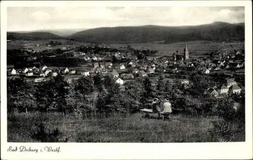 Ak Bad Driburg in Westfalen, Gesamtansicht