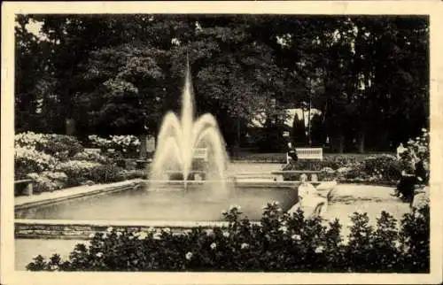 Ak Bad Driburg in Westfalen, Kurpark, Springbrunnen