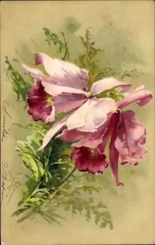 Künstler Litho Klein, C., Rosa Blüten