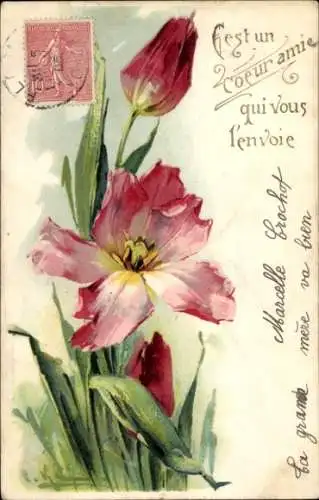 Künstler Litho Klein, Catharina, Tulpen