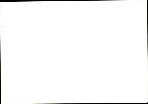 Ak Werner Trio, Musiker, Musikinstrumente