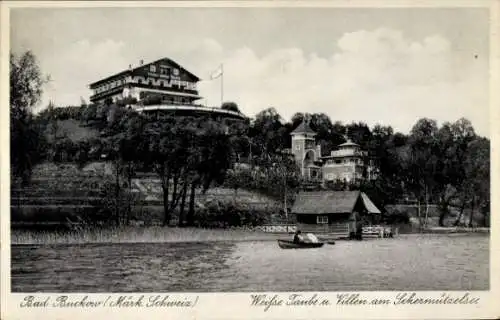 Ak Buckow in der Märkischen Schweiz, weiße Taube, Villen, Schermützelsee