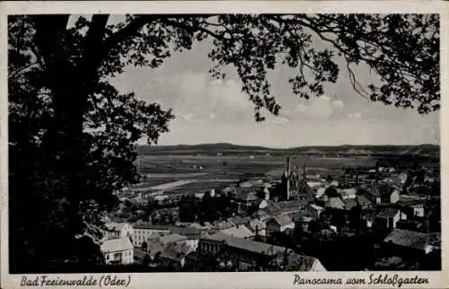 Ak Bad Freienwalde an der Oder, Panorama vom Schlossgarten